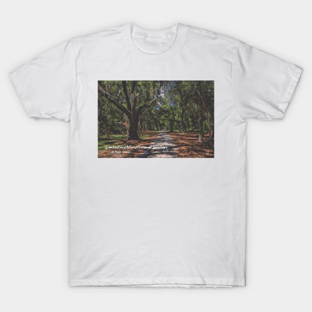 Cumberland Island National Seashore, Georgia T-Shirt by Gestalt Imagery